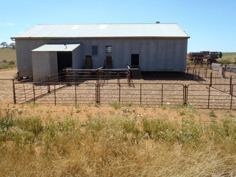 1160 Garrick Bore Road, Borrika SA 5309