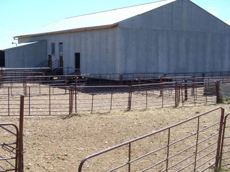 1160 Garrick Bore Road, Borrika SA 5309