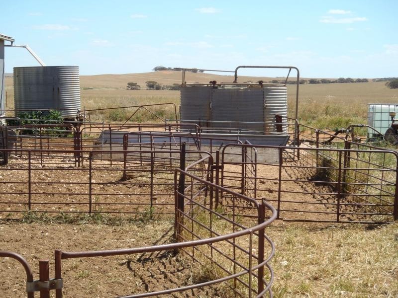 1160 Garrick Bore Road, Borrika SA 5309