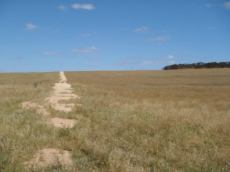 1160 Garrick Bore Road, Borrika SA 5309