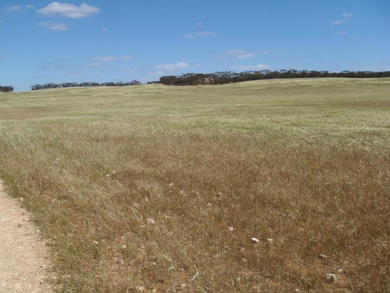1160 Garrick Bore Road, Borrika SA 5309