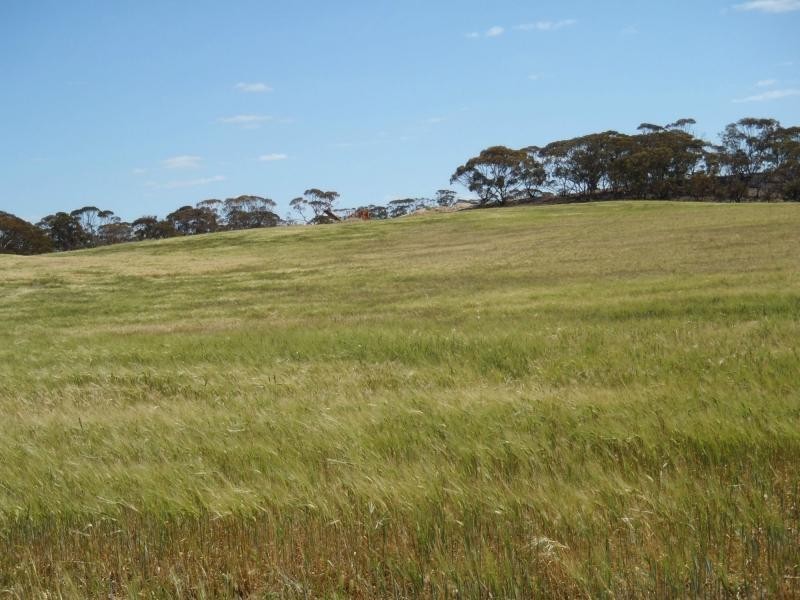 1160 Garrick Bore Road, Borrika SA 5309