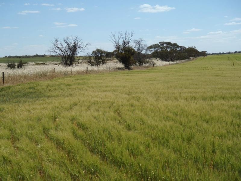 1160 Garrick Bore Road, Borrika SA 5309