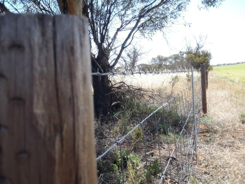 1160 Garrick Bore Road, Borrika SA 5309