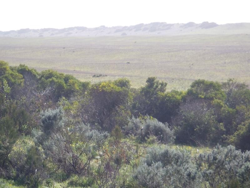 L423 Princes Highway, Kingston Se SA 5275