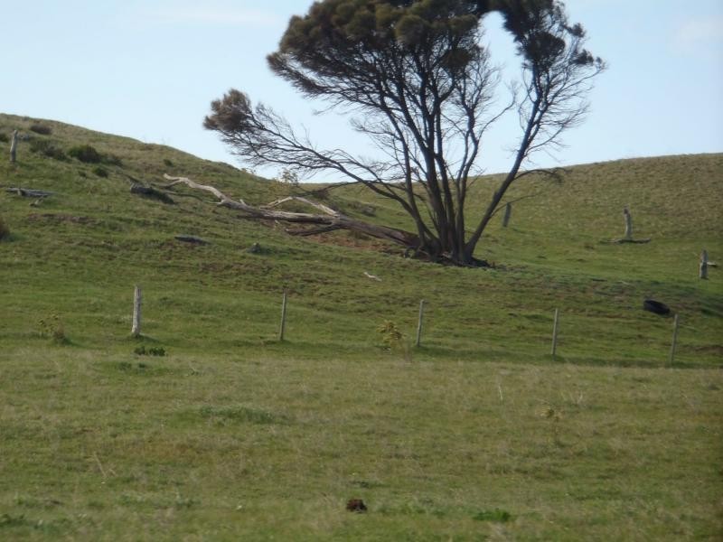 L423 Princes Highway, Kingston Se SA 5275