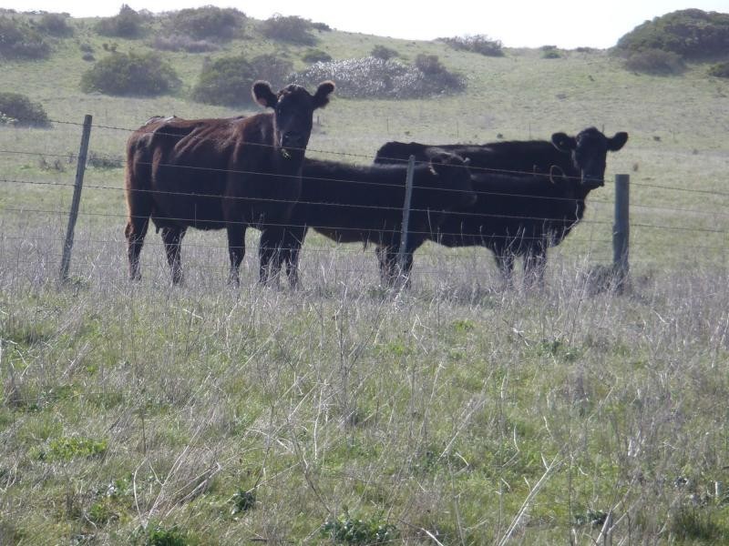 L423 Princes Highway, Kingston Se SA 5275