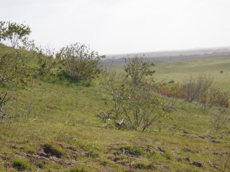 L423 Princes Highway, Kingston Se SA 5275