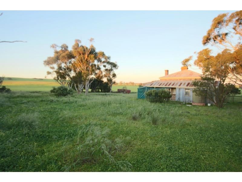3127 Old Boundary Road, Winulta SA 5555