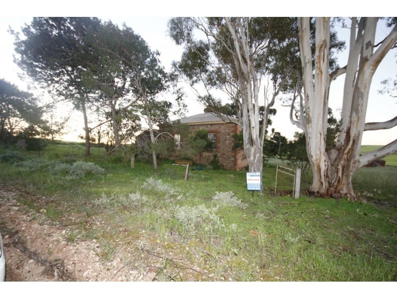 3127 Old Boundary Road, Winulta SA 5555