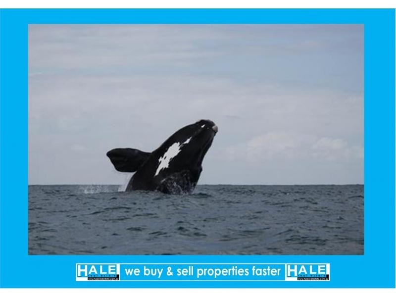 L23 Esplanade, Fowlers Bay SA 5690