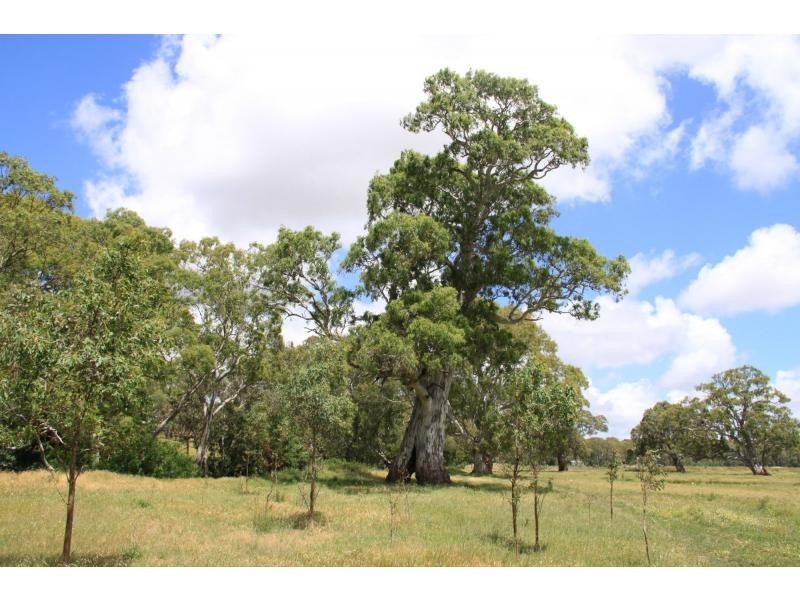 1664 Bull Creek Road, Ashbourne SA 5157