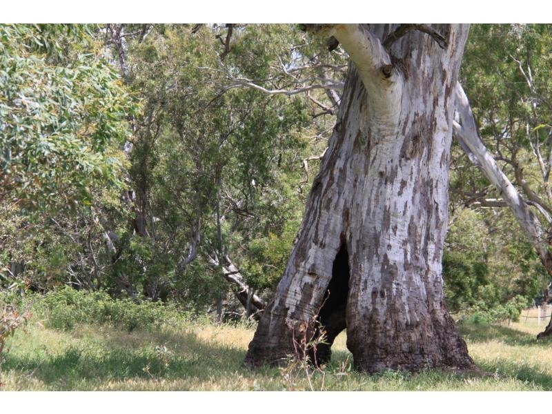 1664 Bull Creek Road, Ashbourne SA 5157