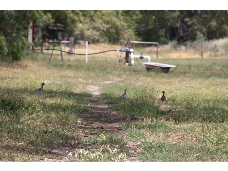 1664 Bull Creek Road, Ashbourne SA 5157