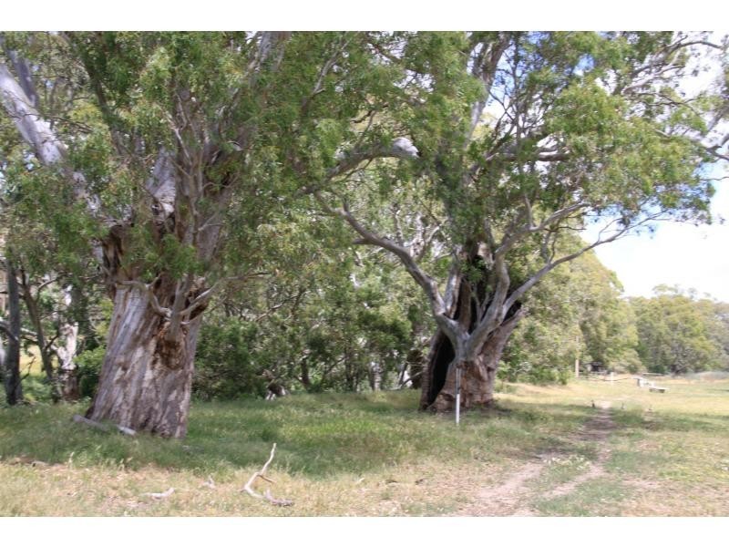 1664 Bull Creek Road, Ashbourne SA 5157