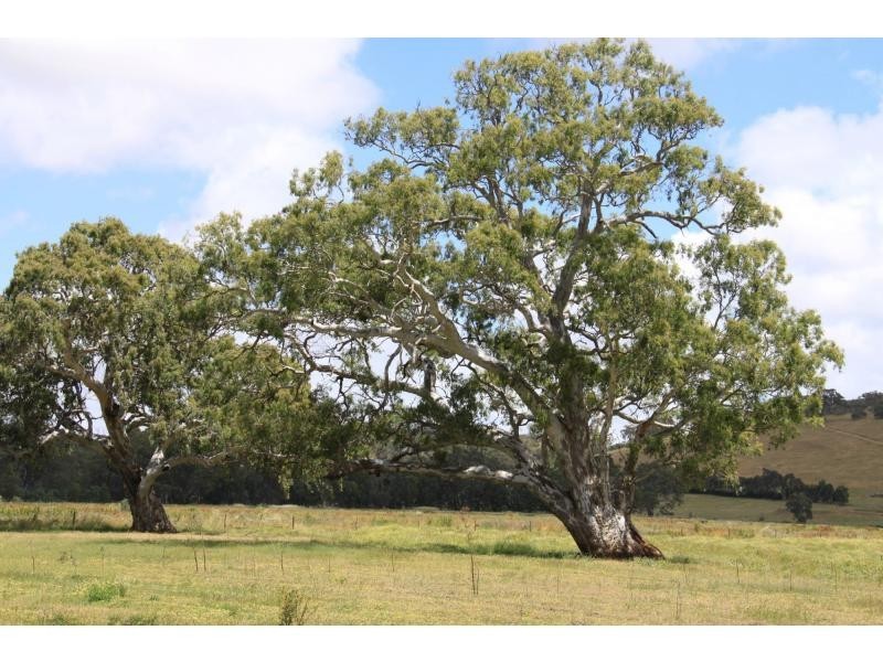 1664 Bull Creek Road, Ashbourne SA 5157