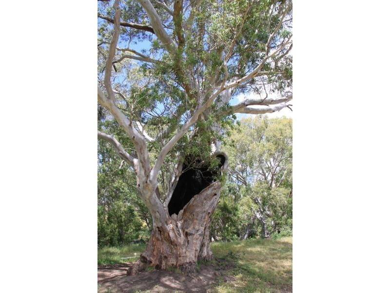 1664 Bull Creek Road, Ashbourne SA 5157