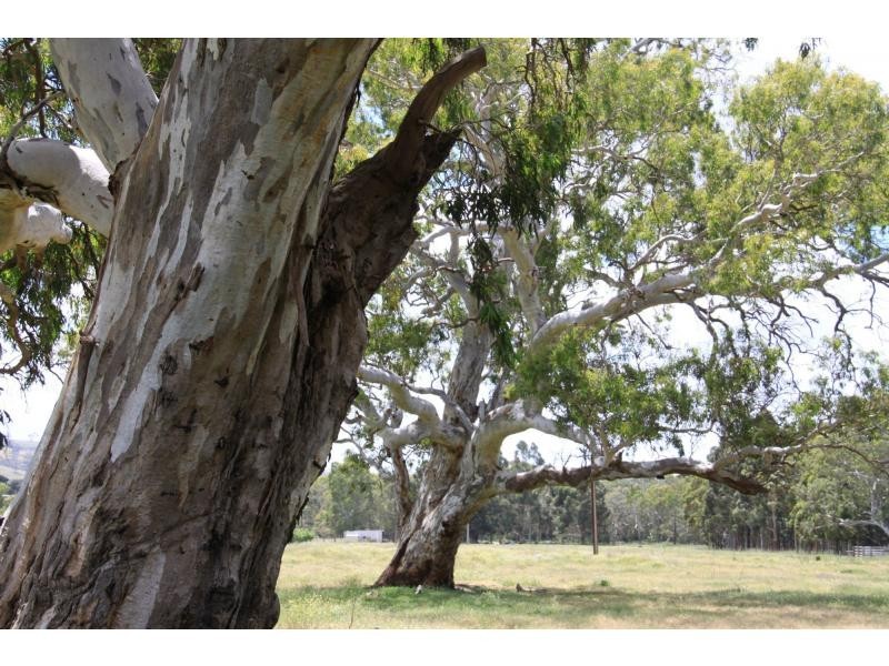 1664 Bull Creek Road, Ashbourne SA 5157