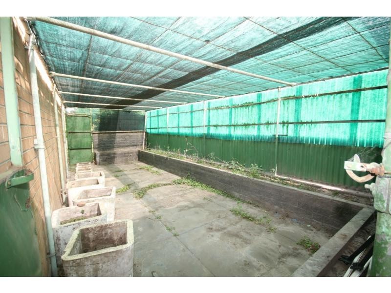 9 Bayer Avenue, Dudley Park SA 5008