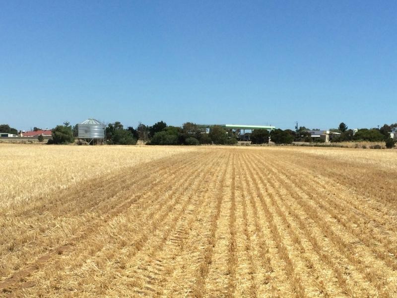 L20 Avon Road, Dublin SA 5501