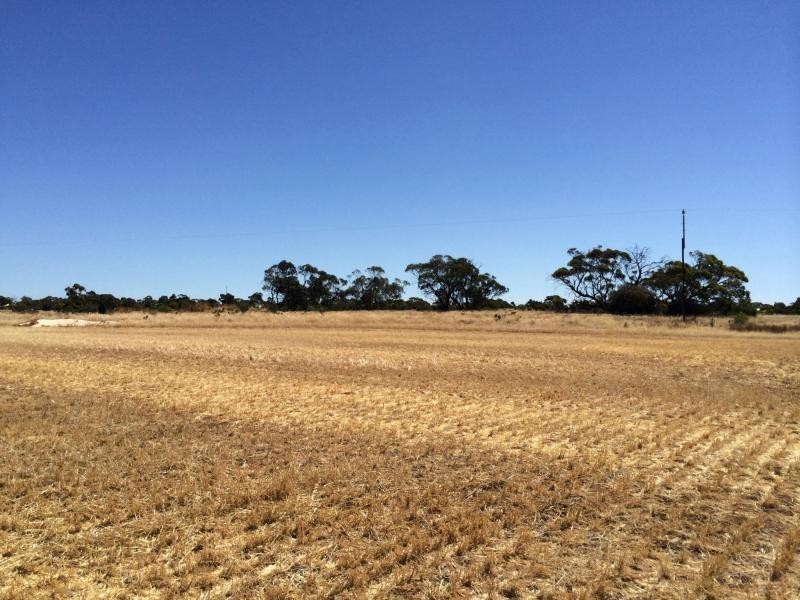 L20 Avon Road, Dublin SA 5501