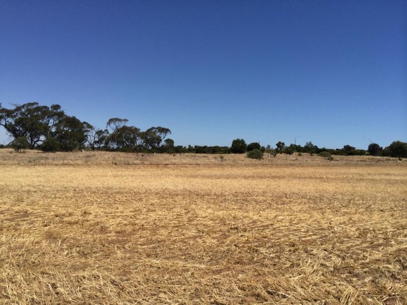 L20 Avon Road, Dublin SA 5501