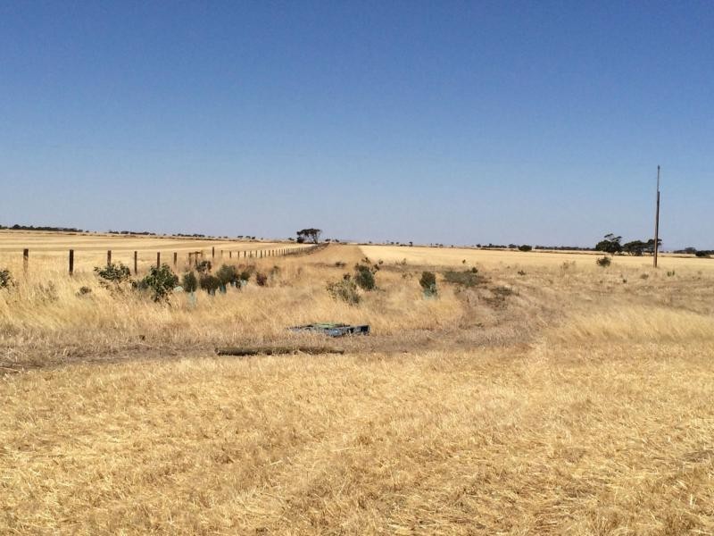 L20 Avon Road, Dublin SA 5501