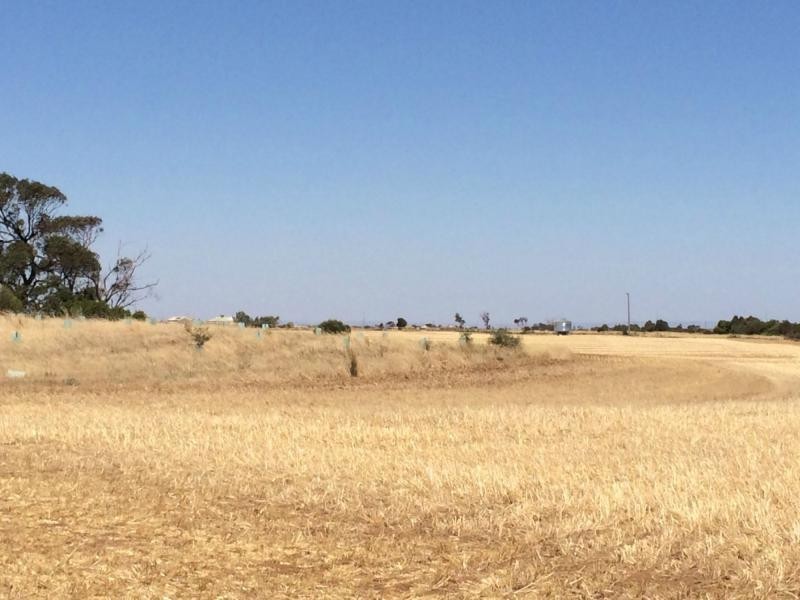 L20 Avon Road, Dublin SA 5501