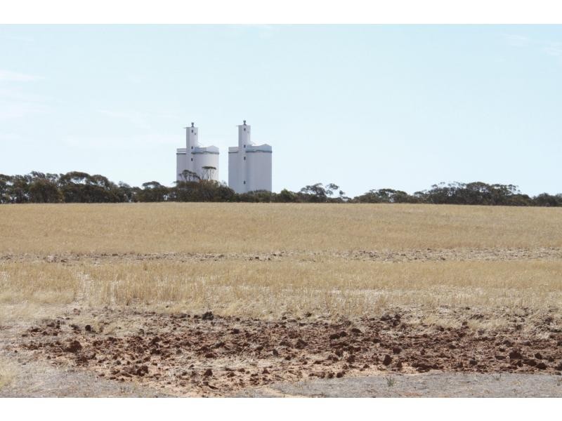 2022 GURRAI Road, Parilla SA 5303