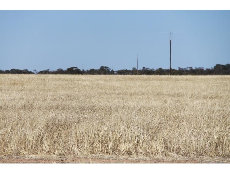 2022 GURRAI Road, Parilla SA 5303