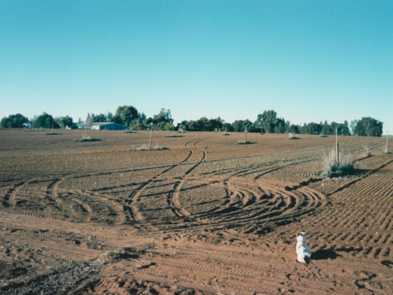 45 Washpool Road, Tailem Bend SA 5259