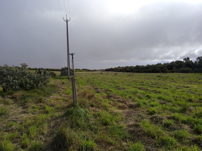 45 Washpool Road, Tailem Bend SA 5259