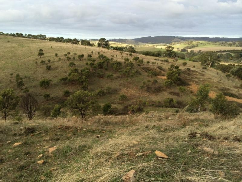 L60 Pyne Hill Road, Wattle Flat SA 5203