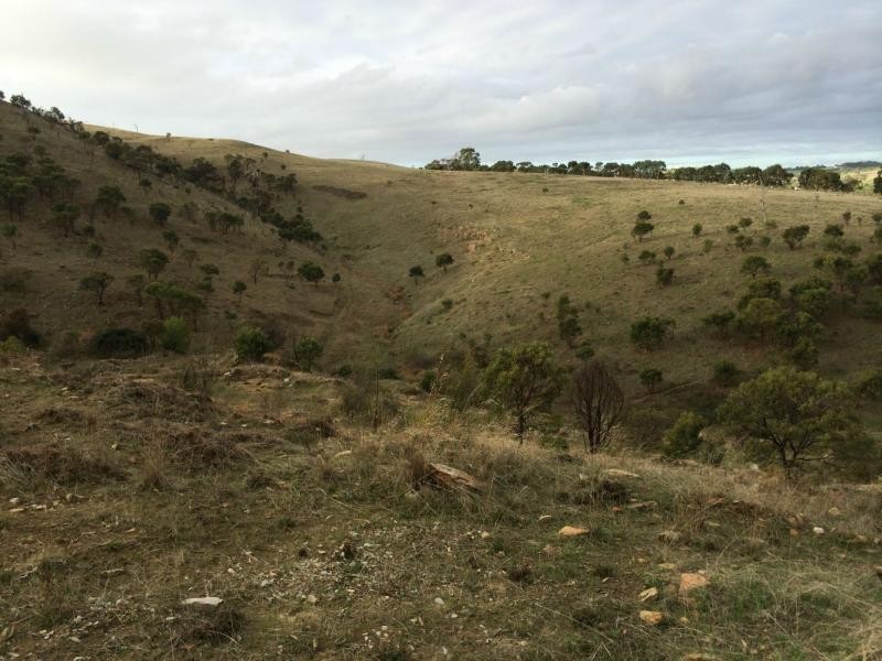 L60 Pyne Hill Road, Wattle Flat SA 5203