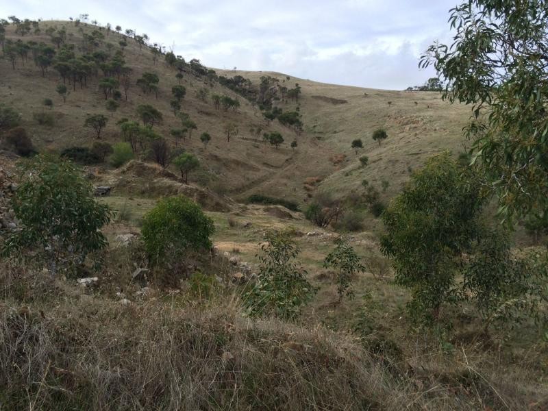 L60 Pyne Hill Road, Wattle Flat SA 5203