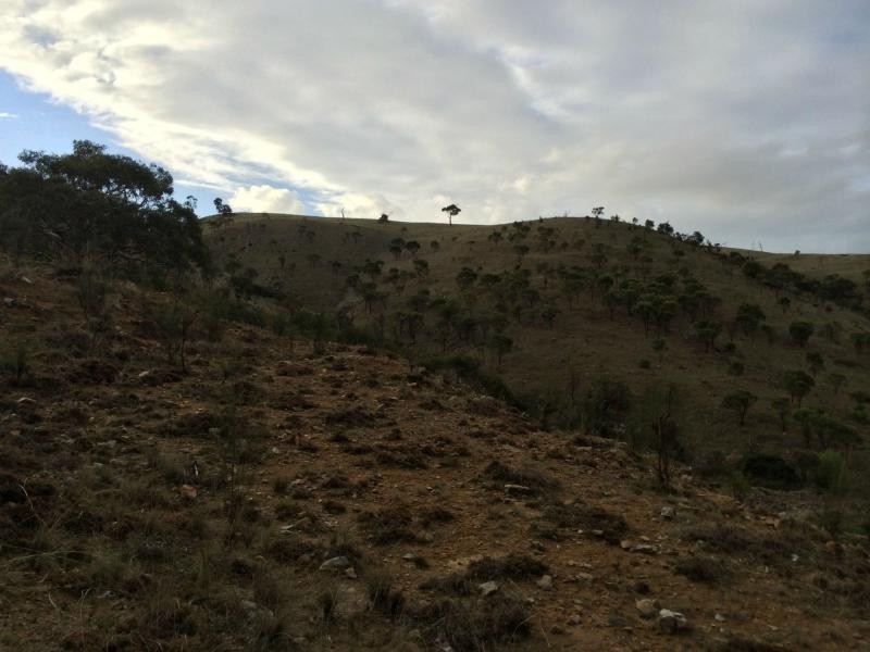 L60 Pyne Hill Road, Wattle Flat SA 5203