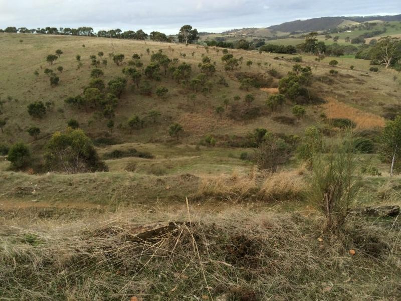 L60 Pyne Hill Road, Wattle Flat SA 5203