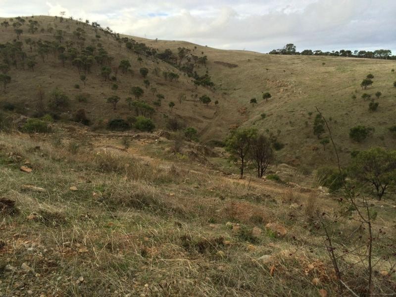 L60 Pyne Hill Road, Wattle Flat SA 5203