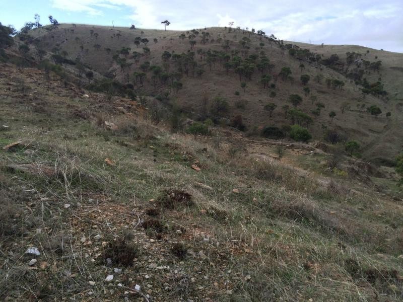 L60 Pyne Hill Road, Wattle Flat SA 5203