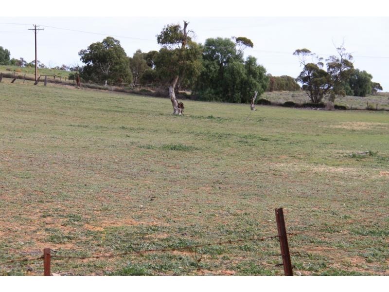 L37 Perponda Road, Karoonda SA 5307