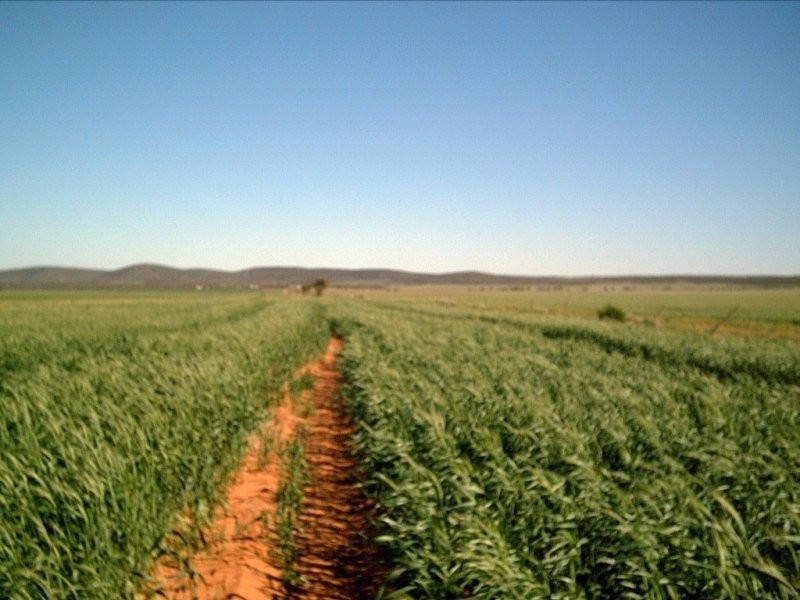 1 Tonkin Road, Cowell SA 5602