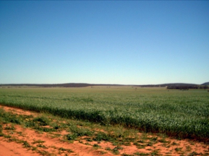 1 Tonkin Road, Cowell SA 5602