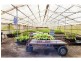 59 Murphy Road, Houghton SA 5131