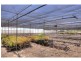 59 Murphy Road, Houghton SA 5131