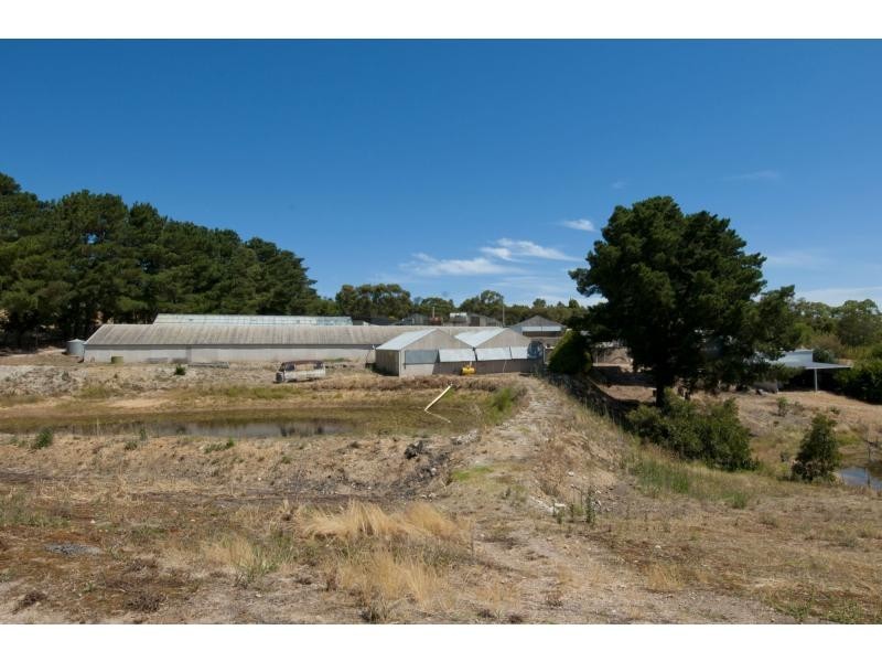 59 Murphy Road, Houghton SA 5131