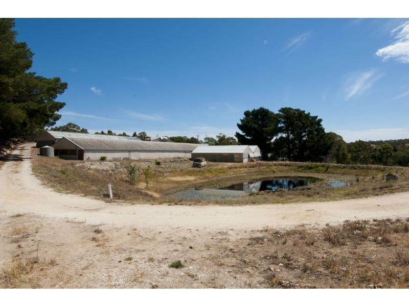 59 Murphy Road, Houghton SA 5131