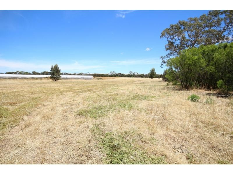 L137 Reedy Road, Buckland Park SA 5120
