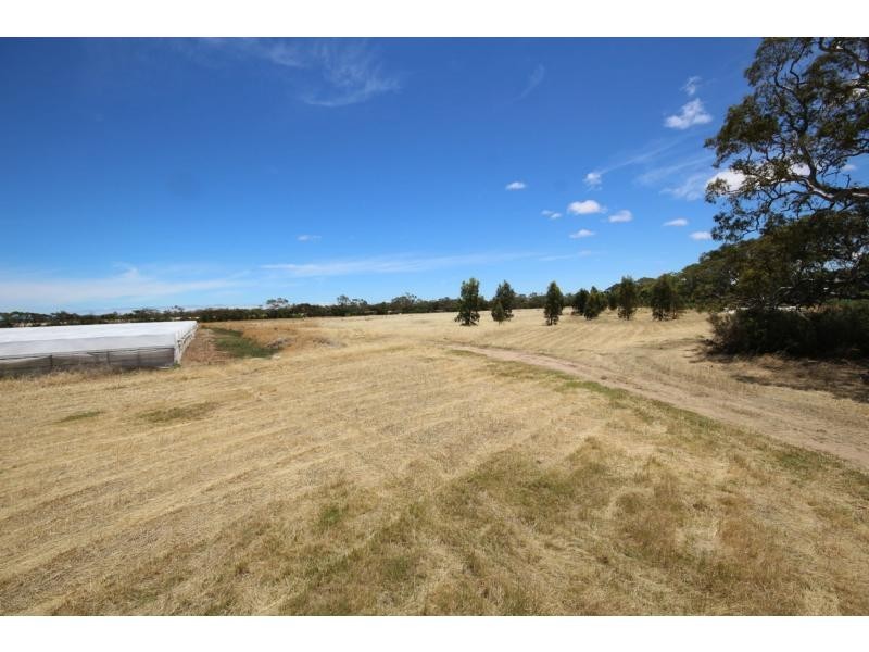 L137 Reedy Road, Buckland Park SA 5120