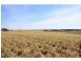 L1940 Ngarkat Highway, Pinnaroo SA 5304