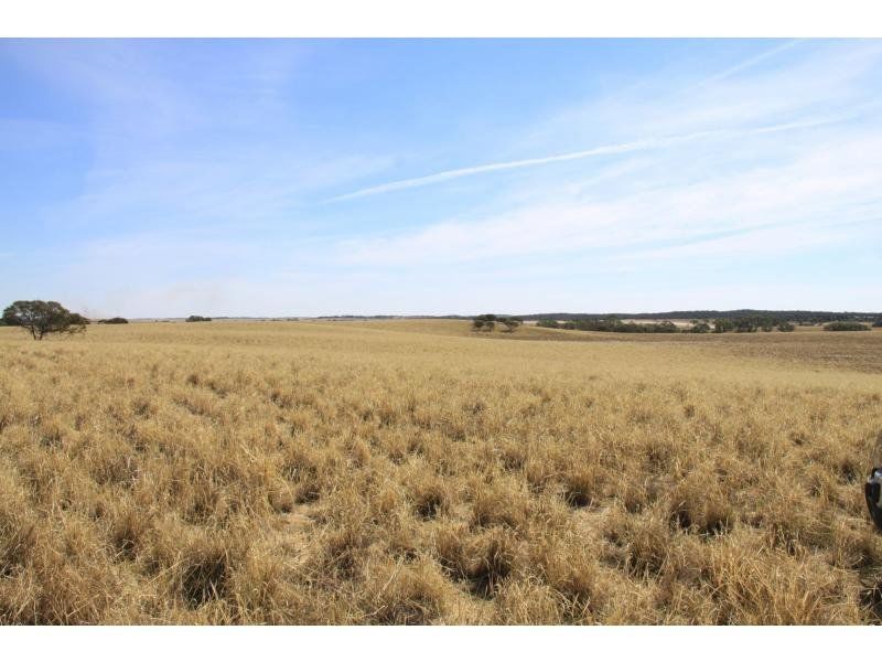 L1940 Ngarkat Highway, Pinnaroo SA 5304